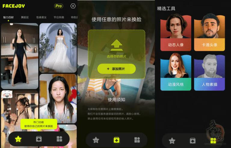 FaceJoy脸趣高级版（AI换脸），支持变脸、换脸、脸部编辑等多种功能-木鱼源码网