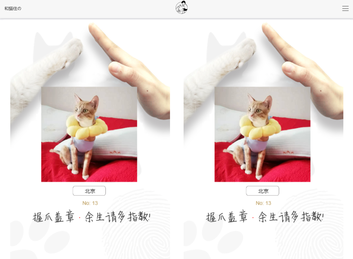 流浪猫狗认领系统,流浪猫流浪狗认领信息发布平台系统源码-木鱼源码网