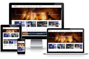 WordPress主题：日主题ripro虚拟资源主题8.9开心版/免授权版所-木鱼源码网