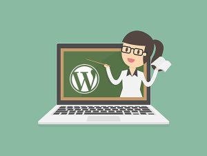 wordpress建站windows和linux的服务器对比-木鱼源码网